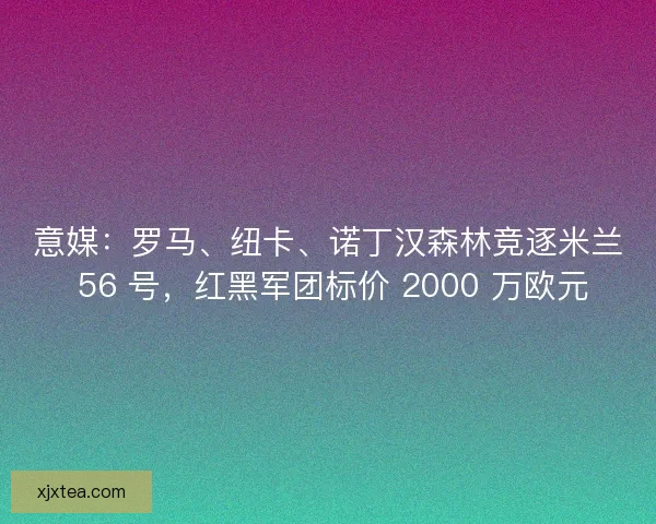 意媒：罗马、纽卡、诺丁汉森林竞逐米兰 56 号，红黑军团标价 2000 万欧元